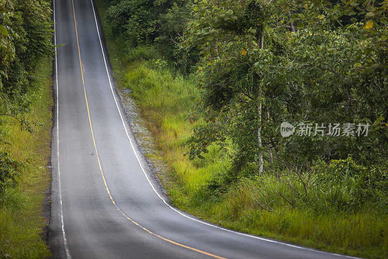 泰国Khao Yai国家公园的景观道路